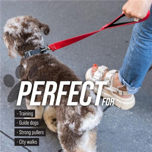 Leash Boss Short Dog Leash With Padded Traffic Handle for Training and Walking - Picture 5 of 8